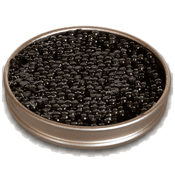 Beluga Hybrid Caviar
